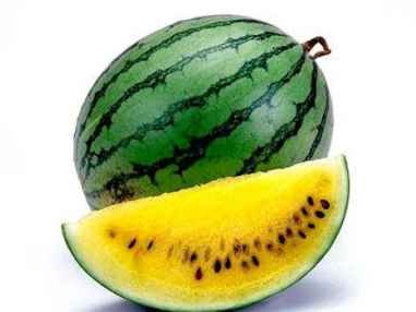 西瓜的七彩世界 你见过几种颜色的瓜