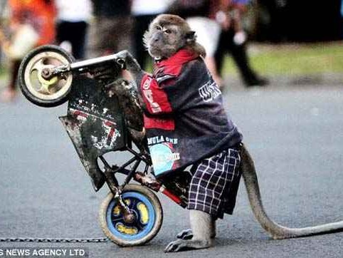 印尼穿衣全攻略：从传统国服到街头潮牌，让你穿对不尴尬