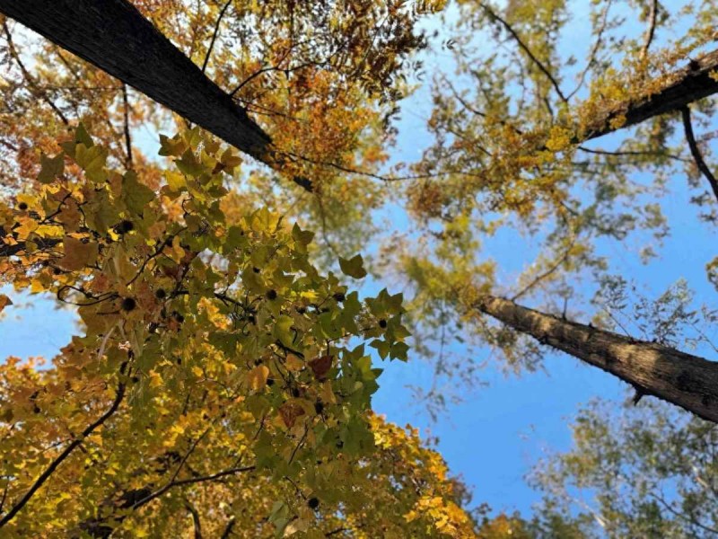 宁波冬天穿衣搭配指南：杭嘉湖今日入冬，宁波冬天还有多远