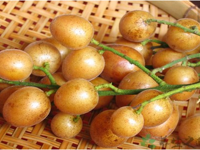 油皮星人自救指南：从满脸油光到清爽自信的实战攻略