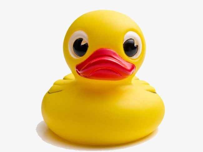 揭秘那只无处不在的小黄鸭究竟是何方神圣