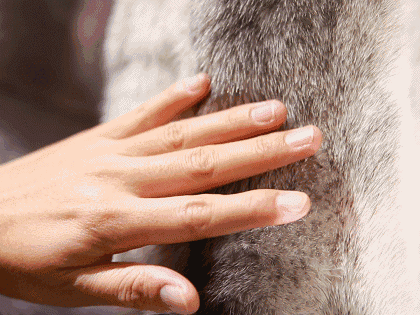 男士穿衣搭配皮草 拒绝“土大款”，男士皮草这样搭，刘昊然变贵公子，陈立农好优雅
